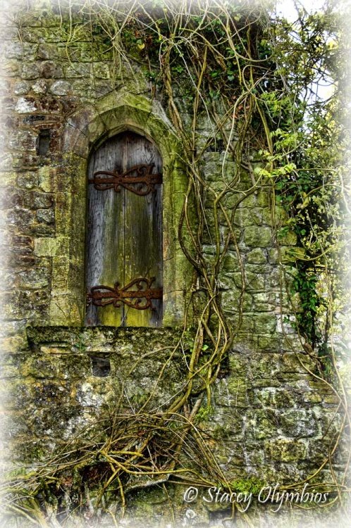 Saltwood Castle, Saltwood, Hythe, Kent.