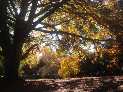 Best time of the year !