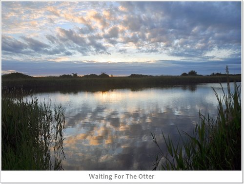 Anticipating Sunrise