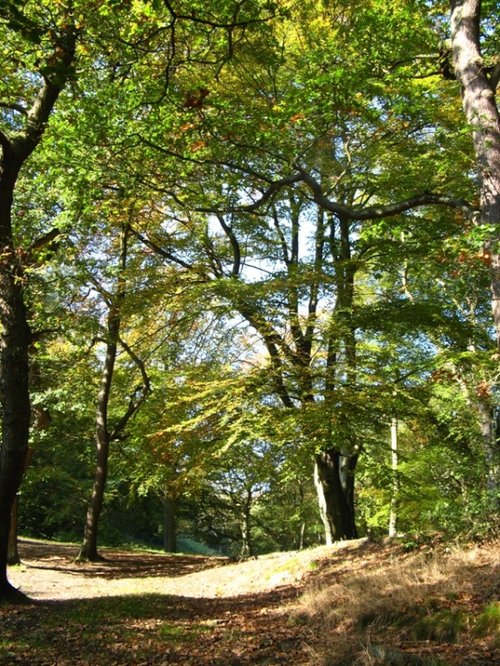 Jerusalem Farm, Booth, Halifax