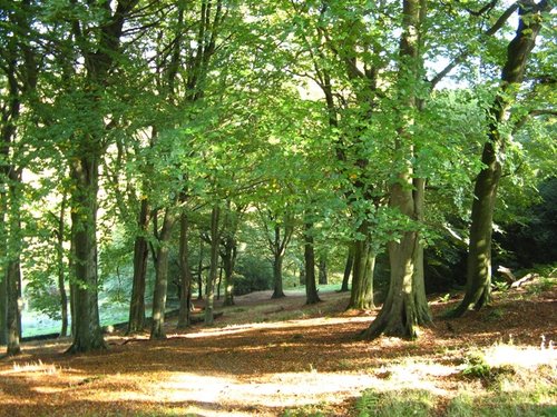 Jerusalem Farm, Booth, Halifax