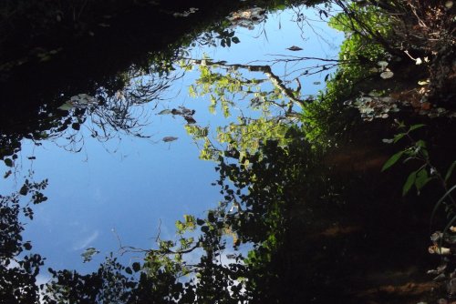 The Stream at Gordleton Mill, Sway.