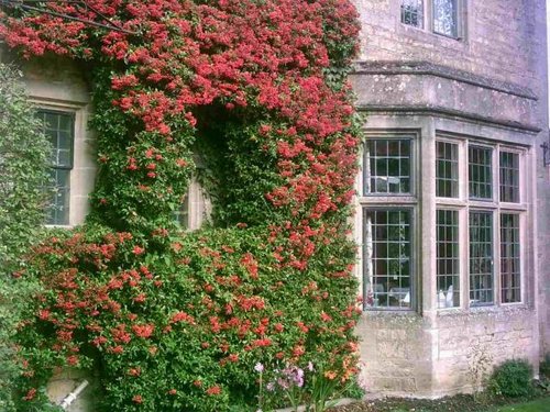 Bourton on the Water - October 2010