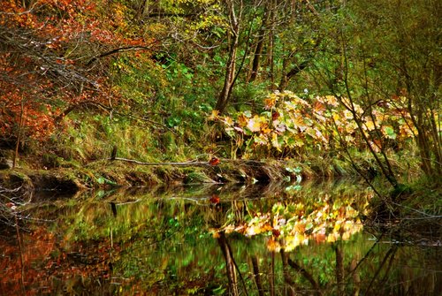 Where two worlds met