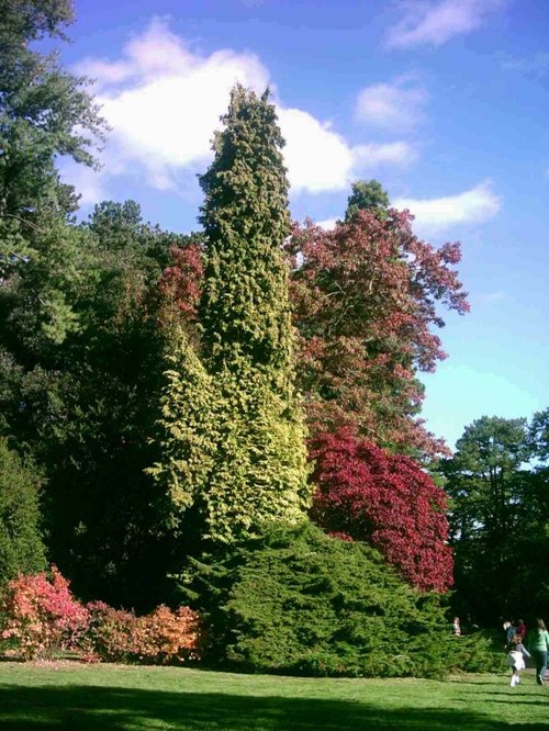 Westonbirt Arboretum - October 2010