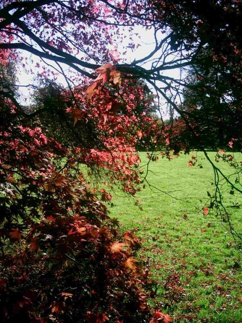Westonbirt Arboretum