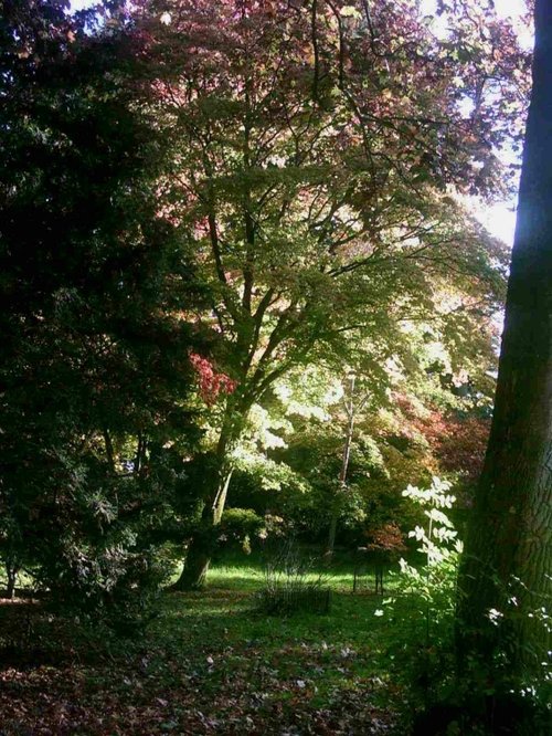 Westonbirt Arboretum