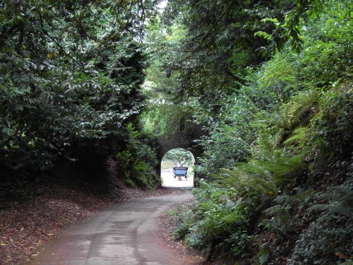 Cockington Court & Country Park