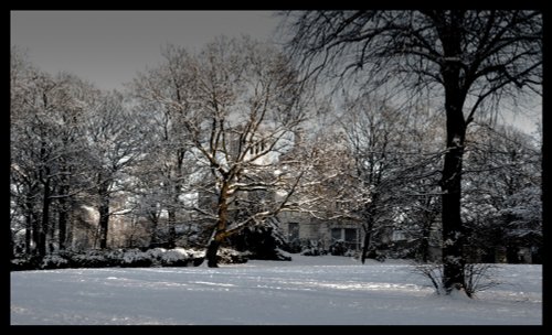 Park in snow