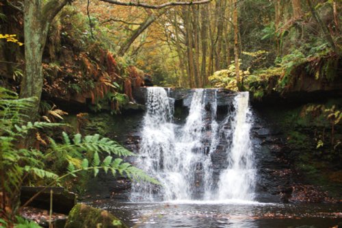 Goyt Stock Falls near Harden