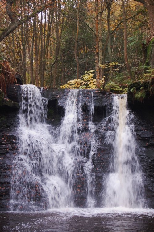 Goyt Stock Falls near Harden