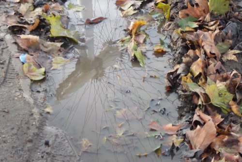 London Eye reflected in a puddle