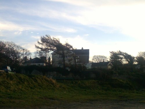 Looking to the south