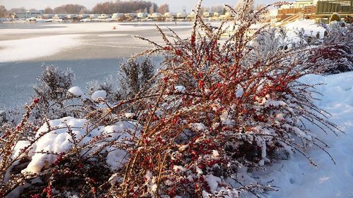 Winter at Tattershall