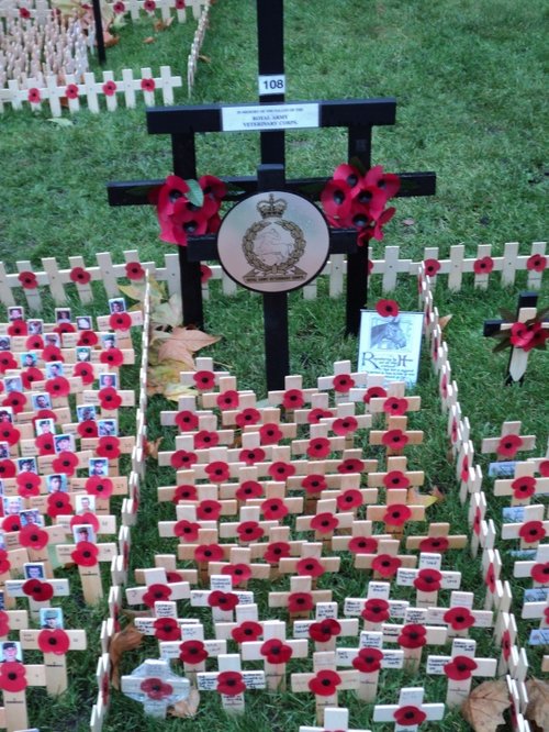 Field of Remembrance, Westminster Abbey
