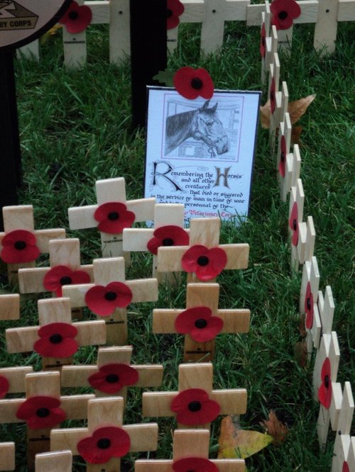 Field of Remembrance, Westminster Abbey