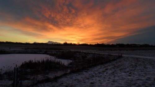 Jeskyns Community Woodland and Greenspace, Kent
