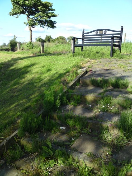 Bench by Werneth Low Country Park, Hyde