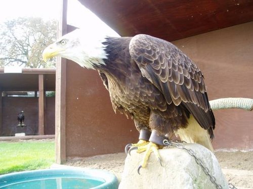 The Butterfly & Wildlife Park