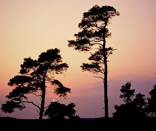 Sunset over Derbyshire