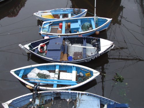 Fishing boats