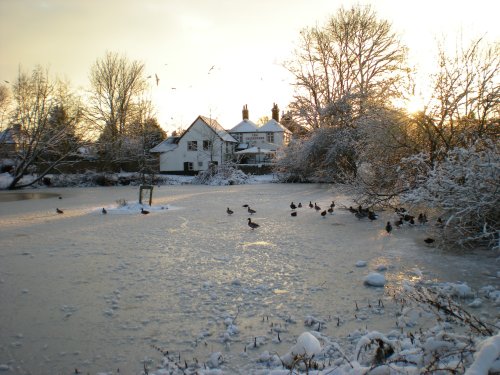 Cricketer's Pub, Epsom Common