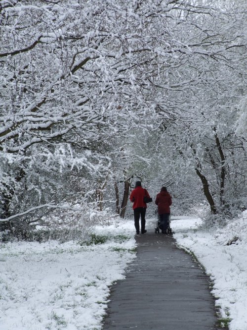 Winter, Epsom Common