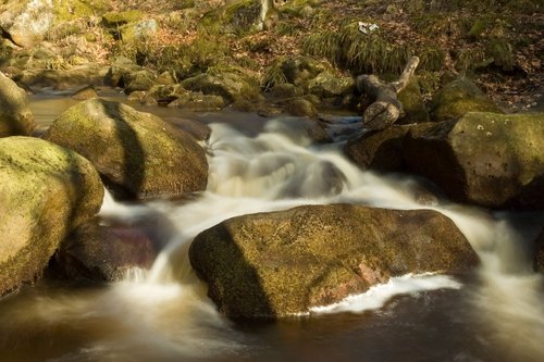 Longshaw Estate