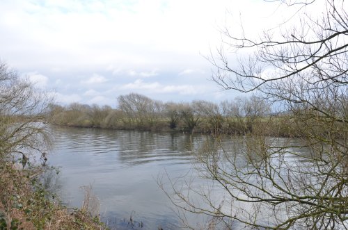 Attenborough Nature Reserve