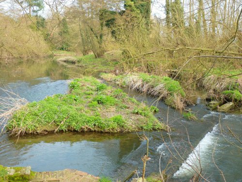 THE HEART OF THE RIVER!