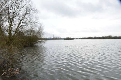 From Attenborough Nature Reserve