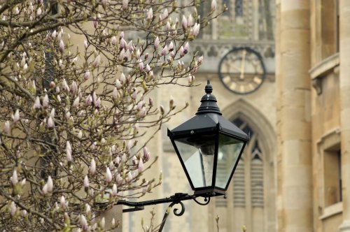 Radcliffe Square, Oxford, Oxon