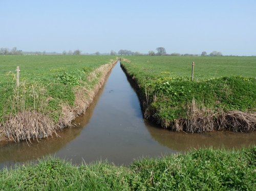 Somerset Levels & Moors, Somerset