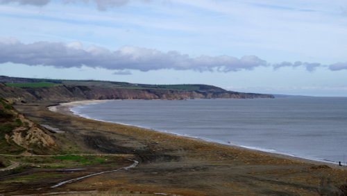 Castle Eden Walkway Country Park, County Durham