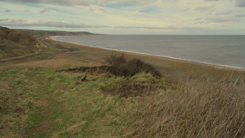 Castle Eden Walkway Country Park