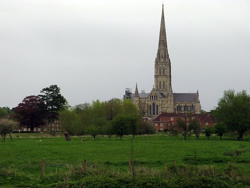 Salisbury - River Nadder