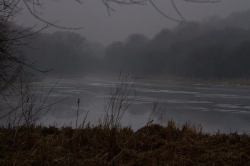 Sprotbrough Flash Nature Reserve
