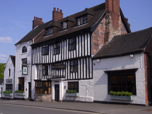 The Dog And Partridge