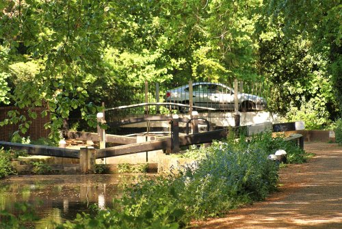Basingstoke Canal
