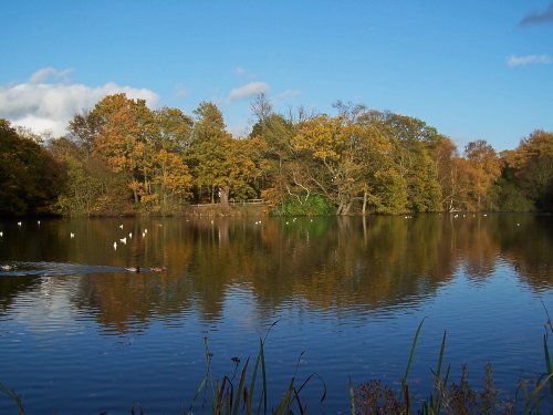 Danbury Park Country Park
