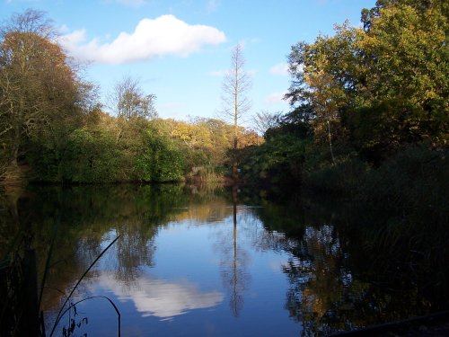 Danbury Park Country Park