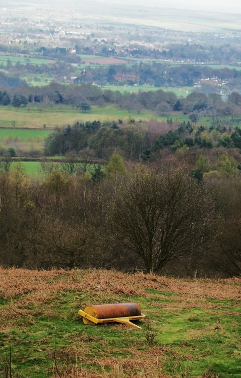 Beacon Hill Country Park