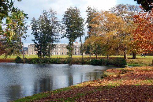 Petworth House & Park