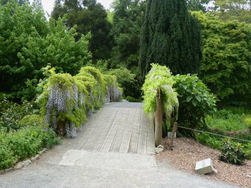 Trelissick Garden