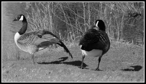 Watermead Country Park