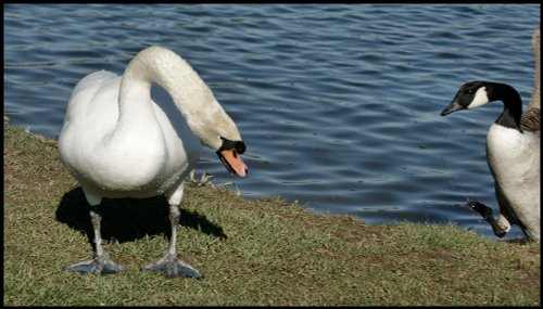 Watermead Country Park