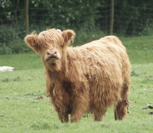 What You Looking At ?