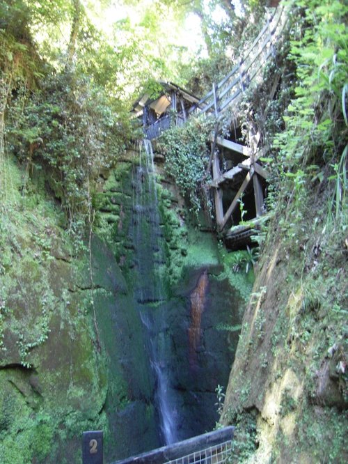 Shanklin Chine