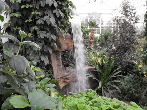 Waterfall at Wisley Botanical Gardens