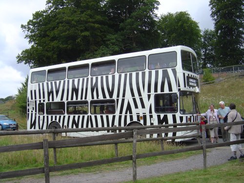 Longleat House & Safari Park